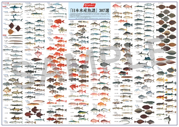 日本水産 魚譜 非売品-